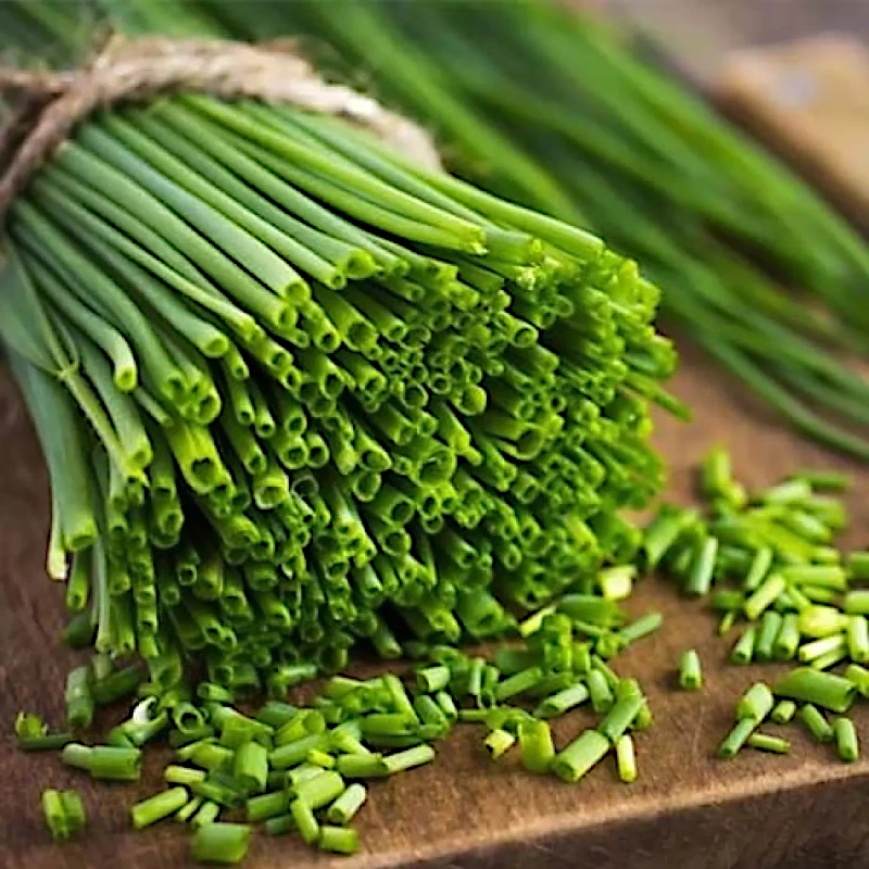 Цибуля-шніт